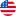 USA flag icon